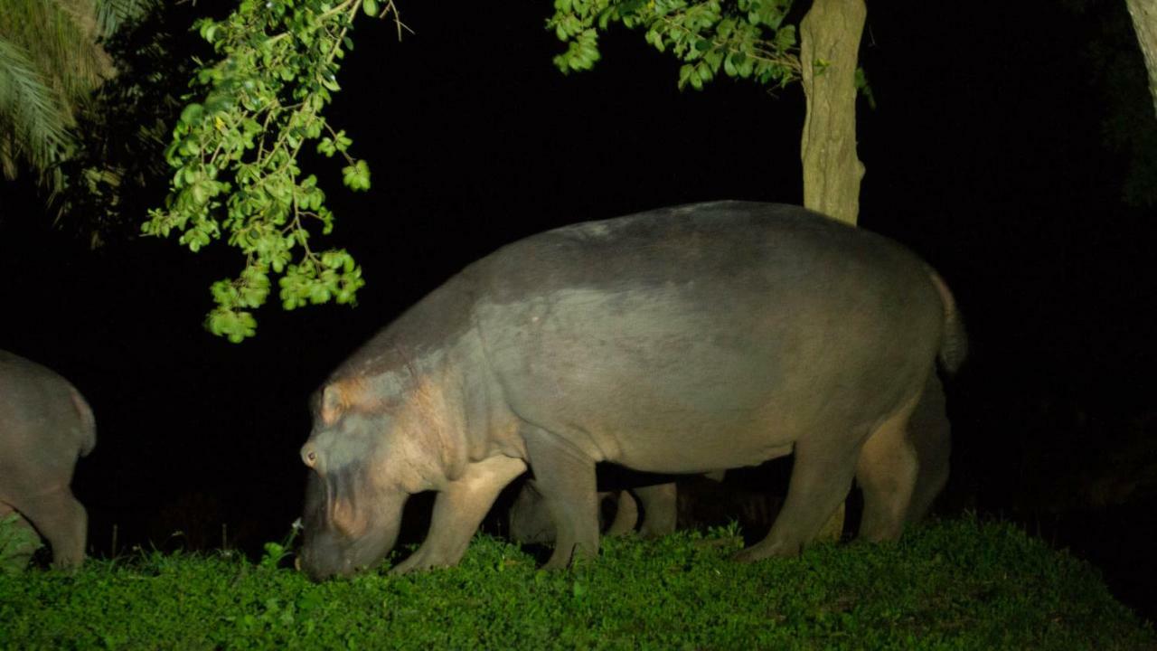 Kwalucia Private Safari Retreat Hotel เซนต์ลูเซีย ภายนอก รูปภาพ