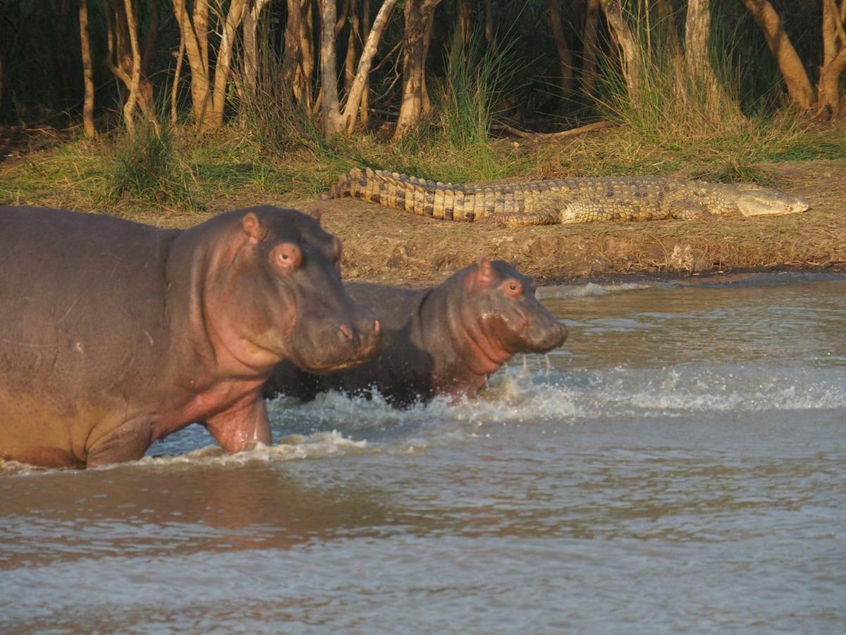 Kwalucia Private Safari Retreat Hotel เซนต์ลูเซีย ภายนอก รูปภาพ