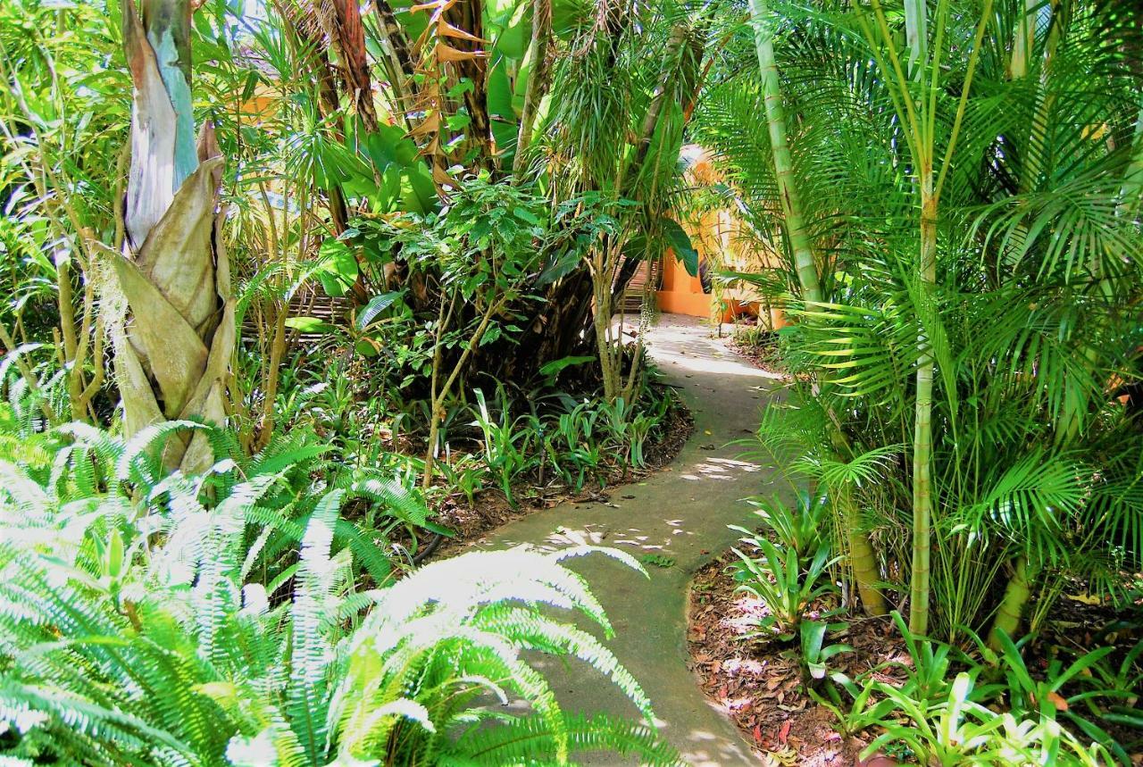 Kwalucia Private Safari Retreat Hotel เซนต์ลูเซีย ภายนอก รูปภาพ